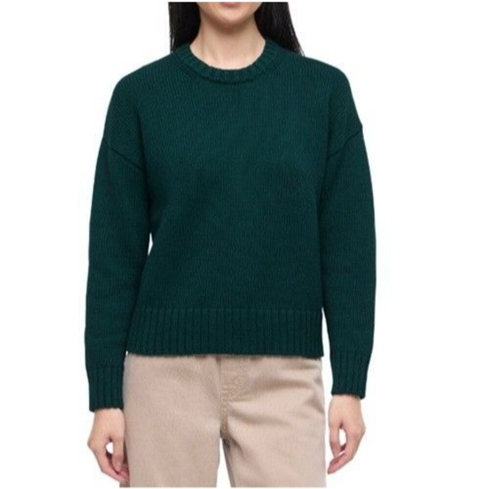 GAP Womens Large L Roll Neck Sweater Green NWT Pullover Knit June Bug